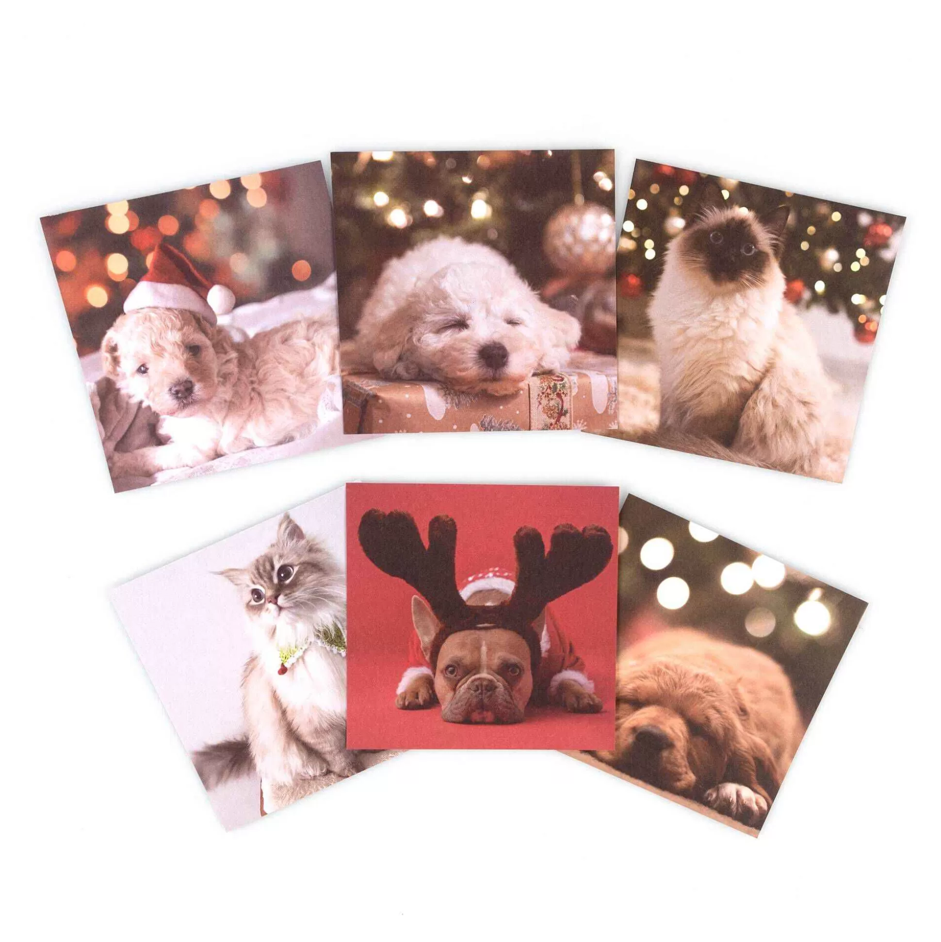 Pawfect Christmas 4 X 4 Inches Paper Pad 18 Sheets-Hobbycraft Best Sale