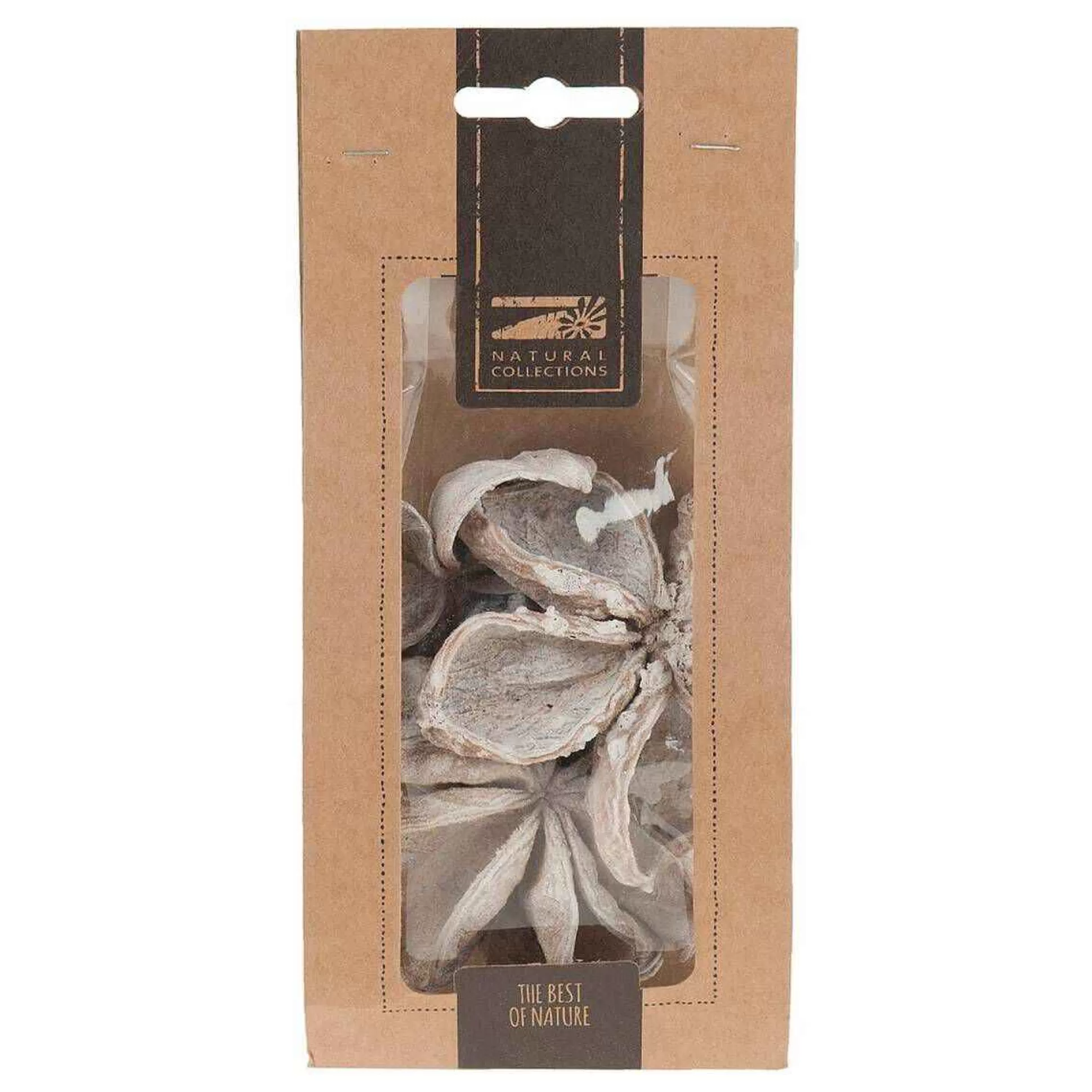 White Landlotus 4 Pieces-Hobbycraft Hot